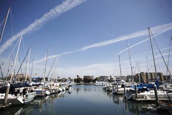 Spectacular marina views